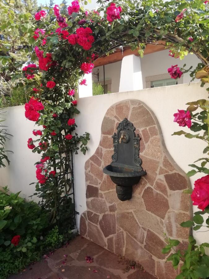 Casa Vacanze Villa Rosa Cala Gonone Extérieur photo