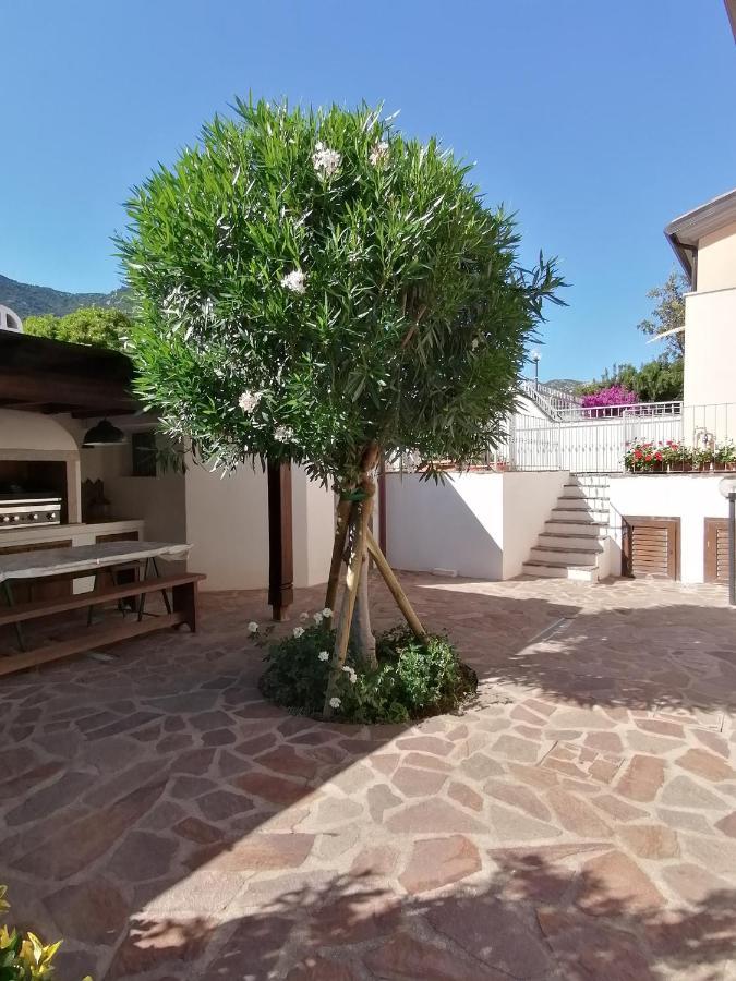 Casa Vacanze Villa Rosa Cala Gonone Extérieur photo